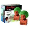 Chia Pet: The Joy Of Painting's Bob Ross -Spiderman Hanging Store Bob Ross Chia Pet 11368.1583112830