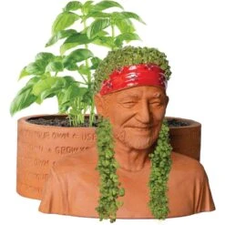 Chia Herb Garden: Willie Nelson -Spiderman Hanging Store Chia Herb Garden Willie Nelson Full 26131.1746578357