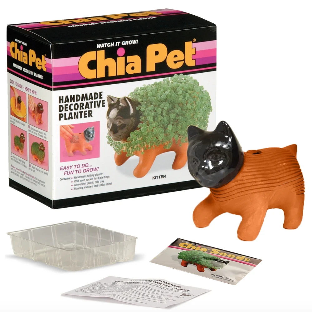 Chia Pet: Kitten 5 Chia Pet: Kitten - Image 3