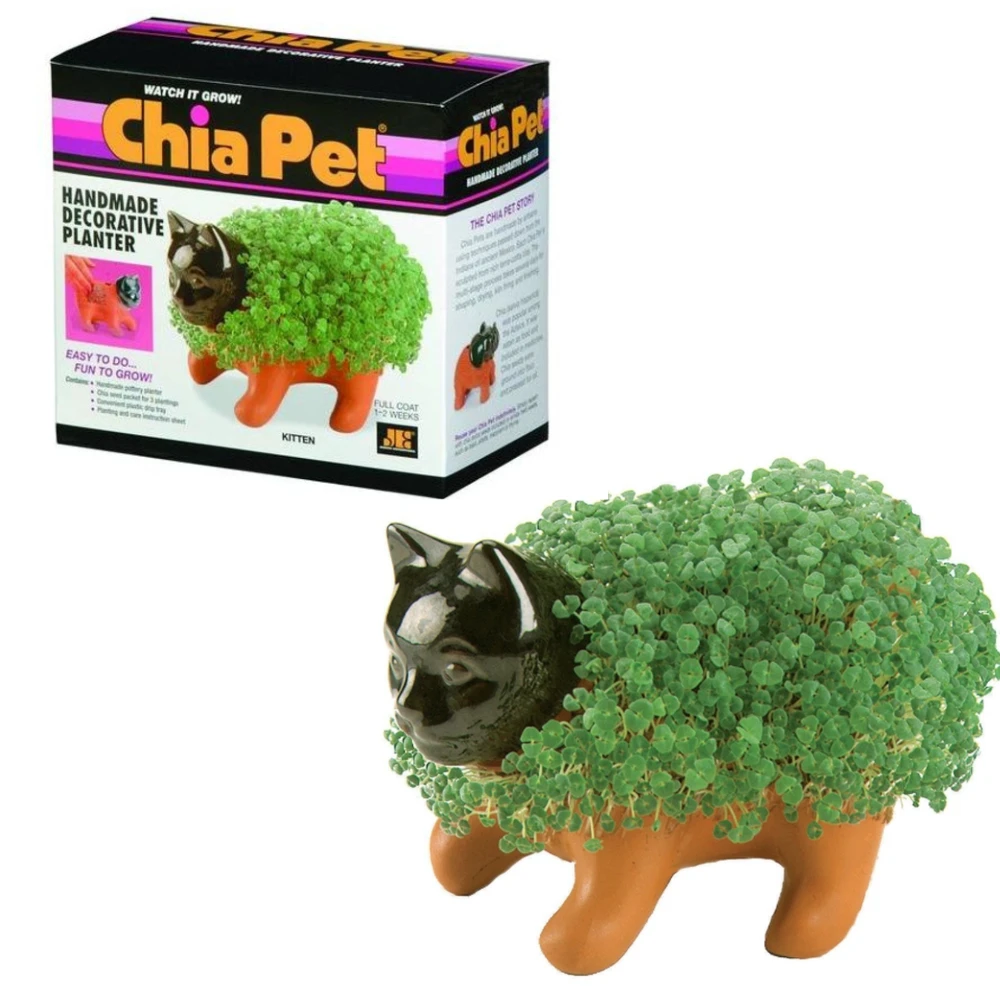Chia Pet: Kitten 3 Chia Pet: Kitten