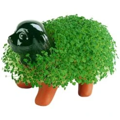 Chia Pet: Puppy -Spiderman Hanging Store Chia Pet Puppy CP030 01 pic 2 32222.1746578164