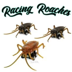 Racing Cockroach