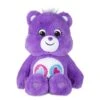 Original Share Bear -14-Inch Care Bears Plush -Spiderman Hanging Store SH 22400 SB Share Bear Care Bears Plush 14 Inch 60327.1710809217